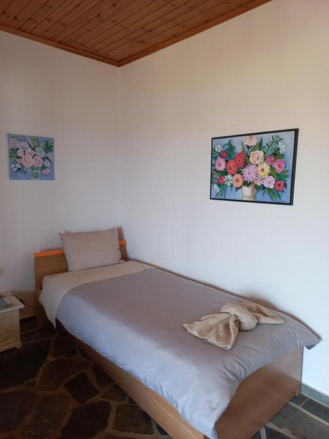 Villa Dimitra 모우르테리 외부 사진